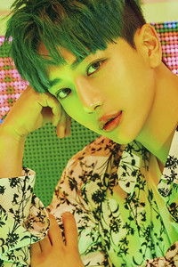 المخرج In-ho Hwang