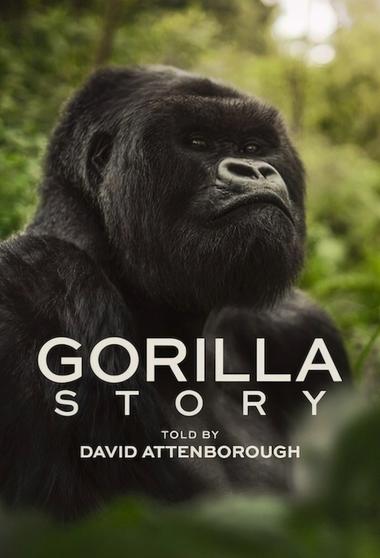 فيلم A Gorilla Story Told by David Attenborough 2026 مترجم - باهي فيلم