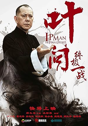فيلم Ip Man - The Final Fight 2013 مترجم