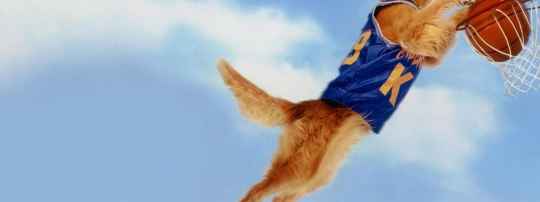 غلاف فيلم Air Bud 1997 مترجم