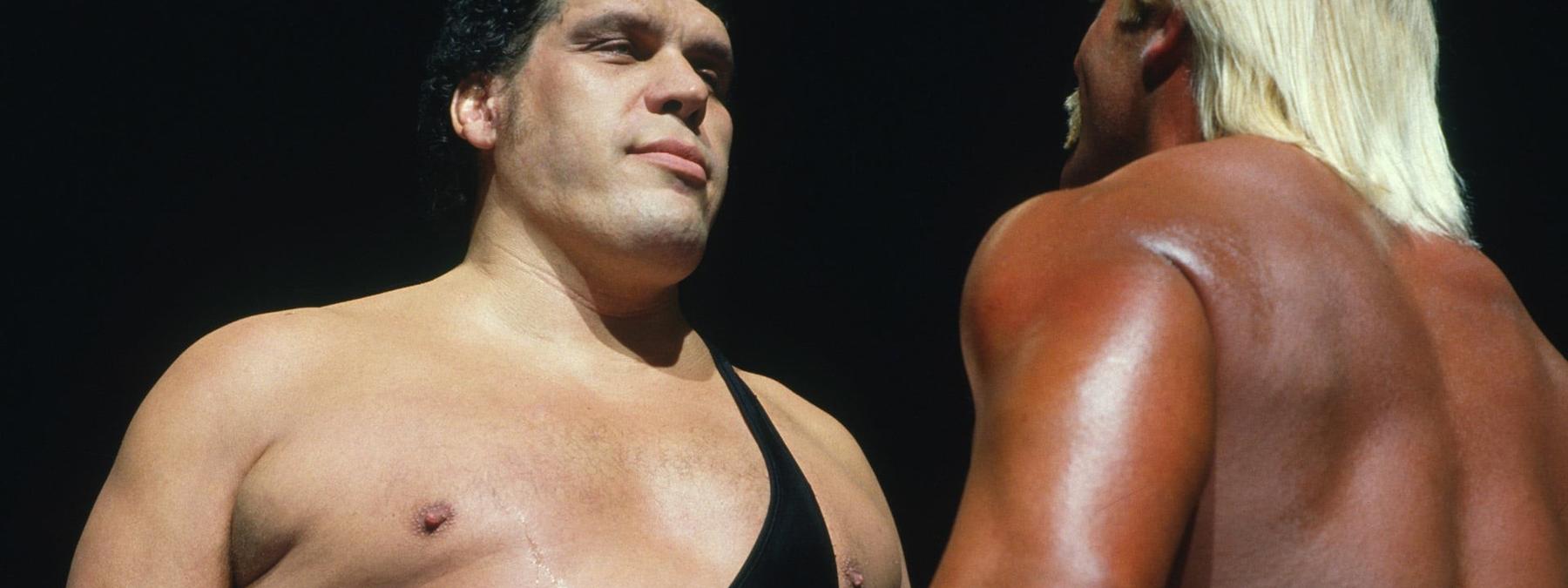 غلاف فيلم Andre the Giant 2018 مترجم