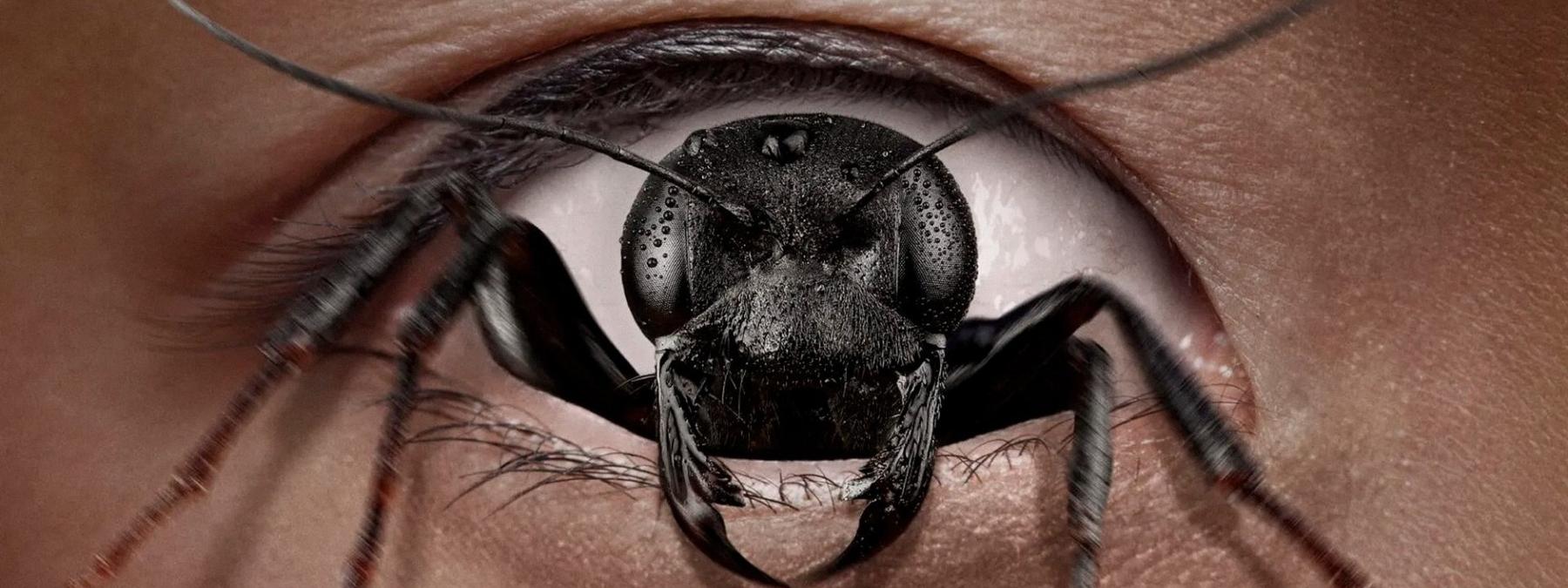 غلاف فيلم Control Freak 2025 مترجم