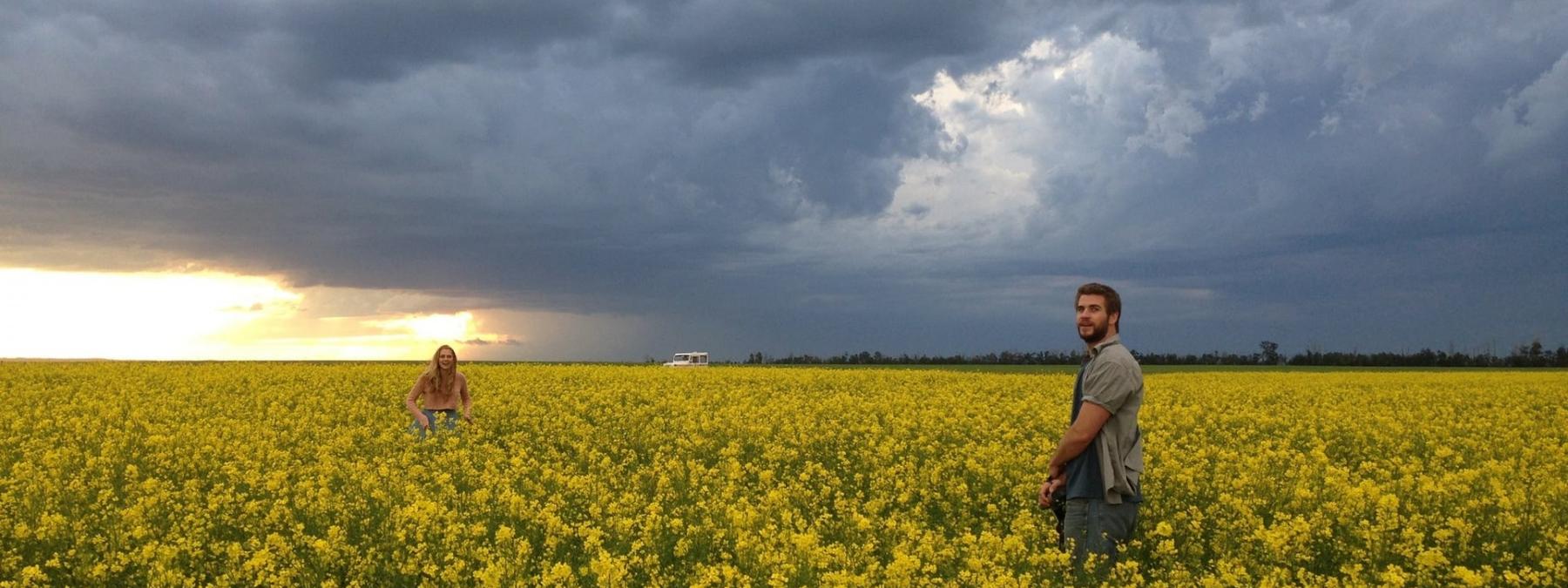 غلاف فيلم Cut Bank 2014 مترجم