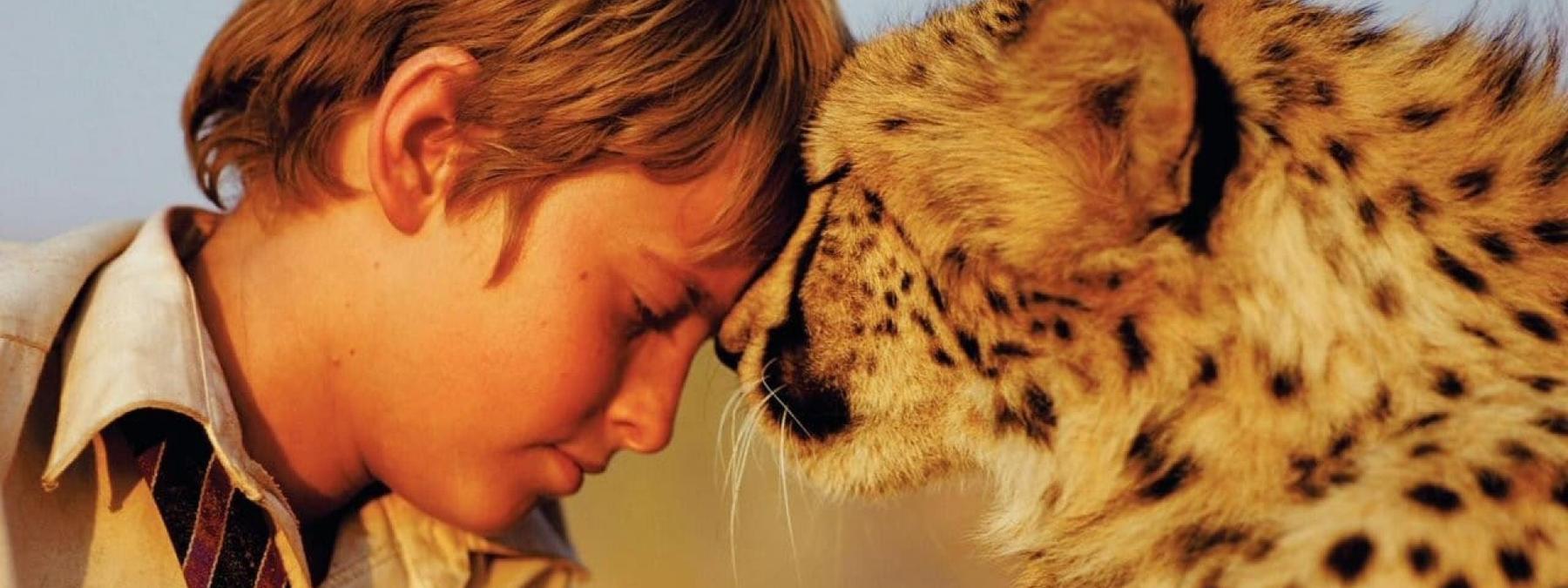 غلاف فيلم Duma 2005 مترجم