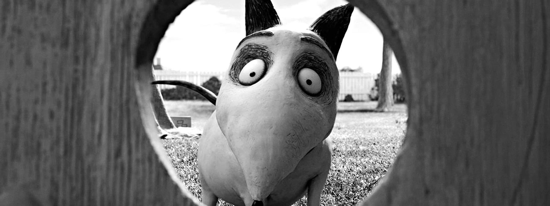 غلاف فيلم Frankenweenie 2012 مترجم