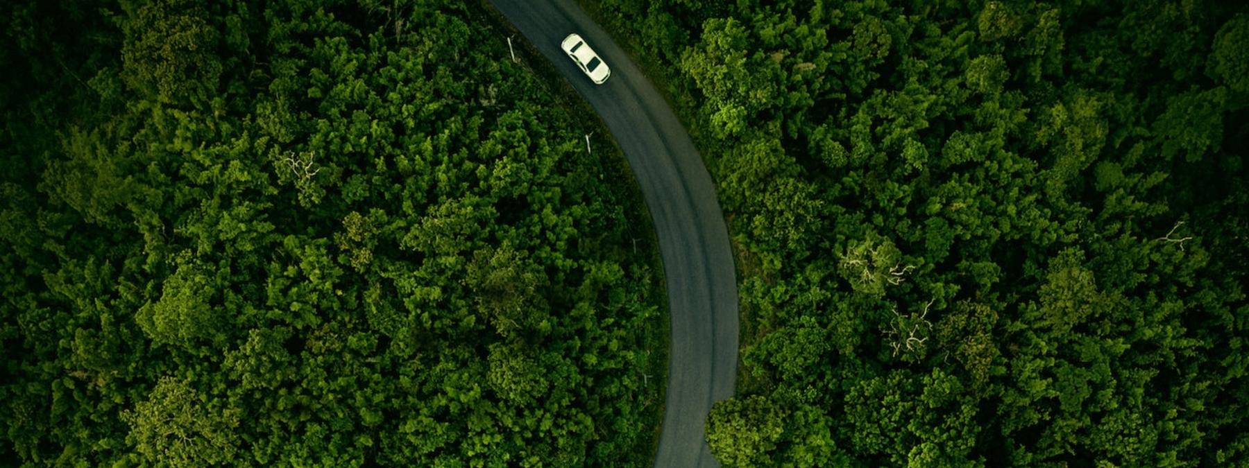 غلاف فيلم Hillbilly Elegy 2020 مترجم