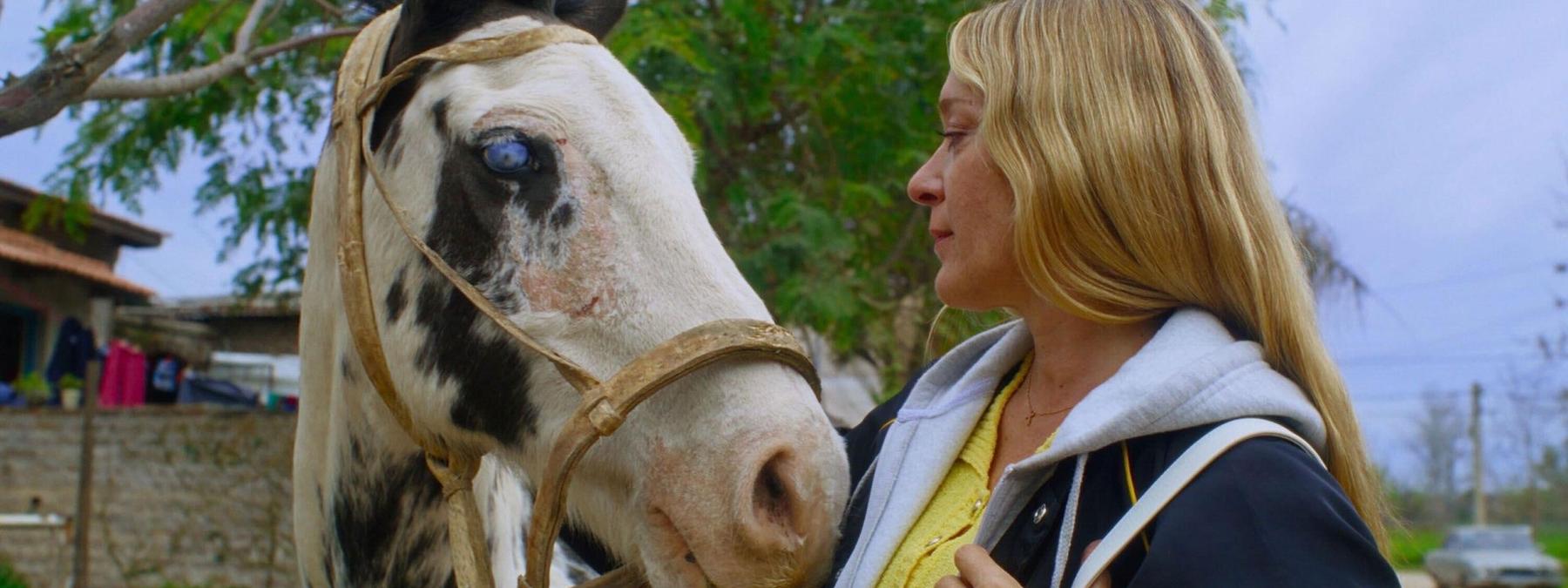 غلاف فيلم Magic Farm 2025 مترجم