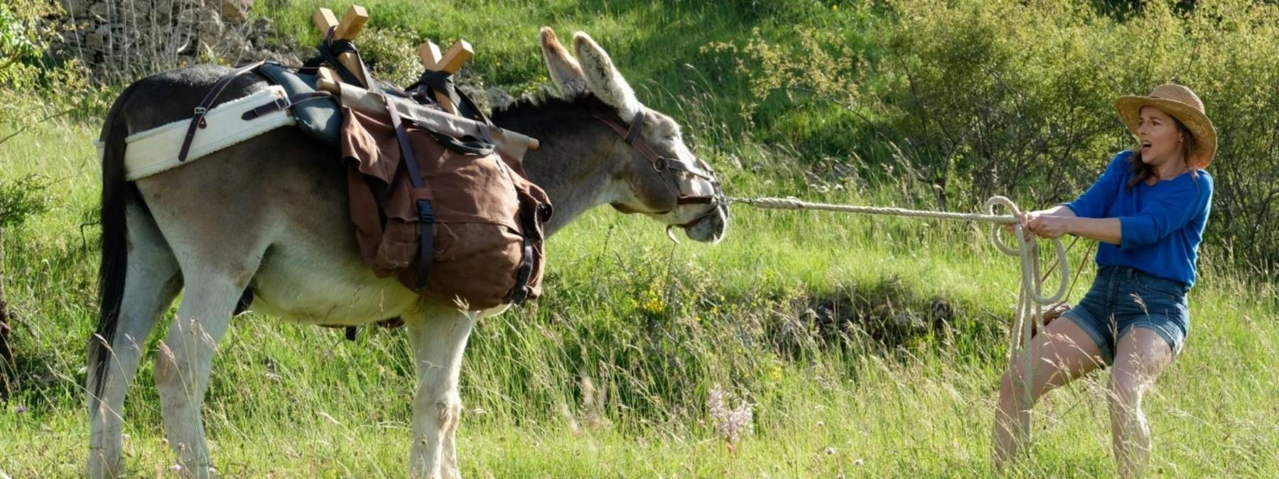 غلاف فيلم My Donkey, My Lover & I 2020 مترجم