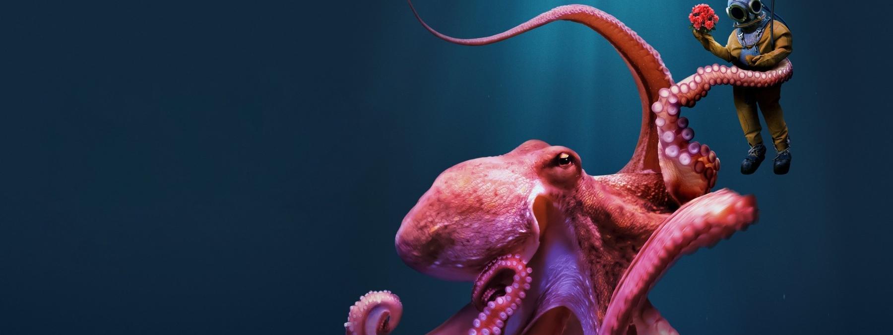 غلاف مسلسل Octopus! 2025 مترجم