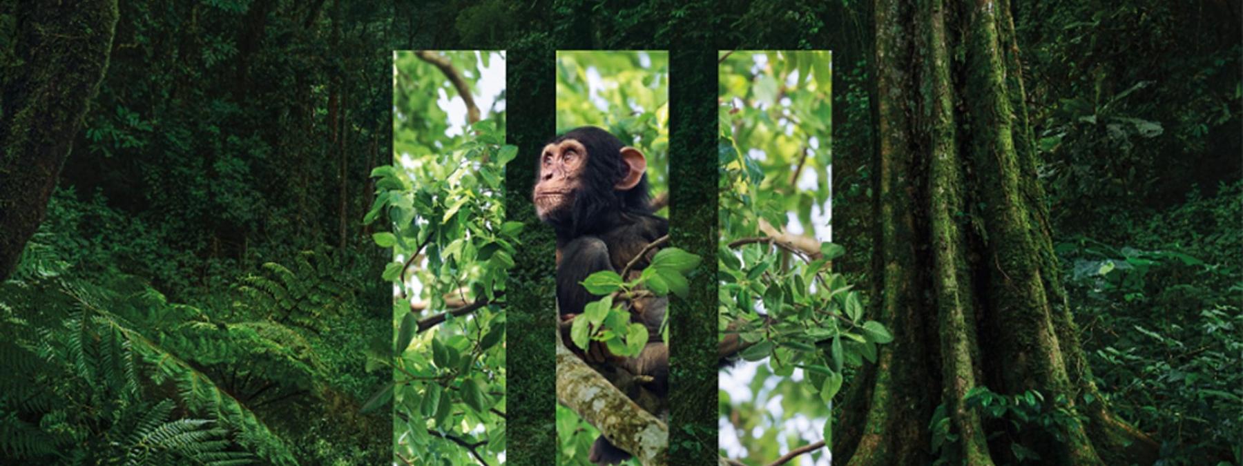 غلاف مسلسل Planet Earth III 2023 مترجم