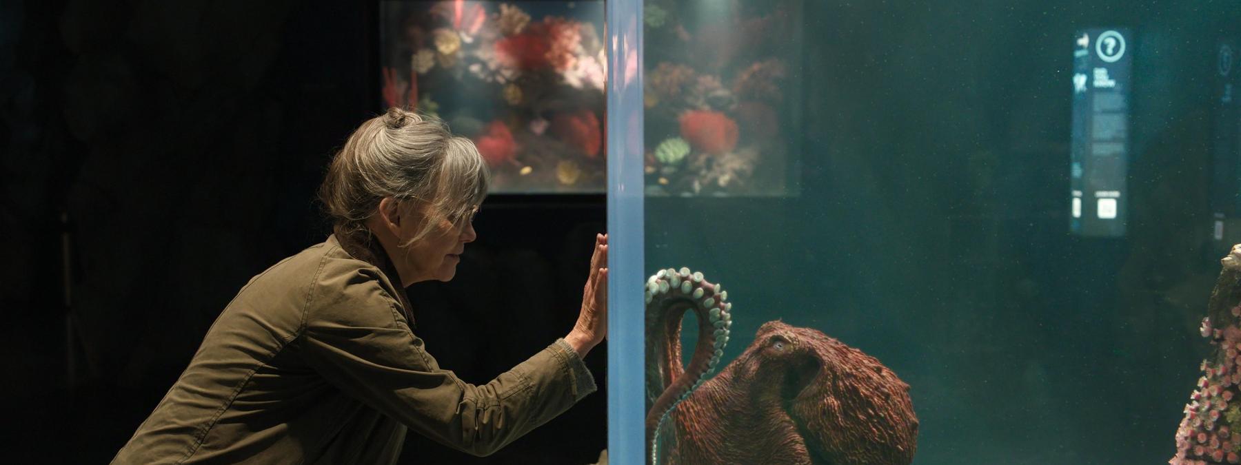 غلاف فيلم Remarkably Bright Creatures 2026 مترجم