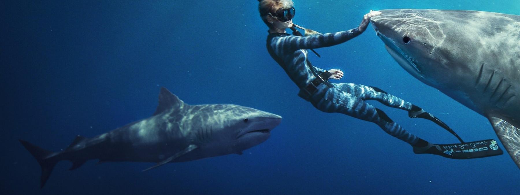 غلاف فيلم Shark Whisperer 2025 مترجم