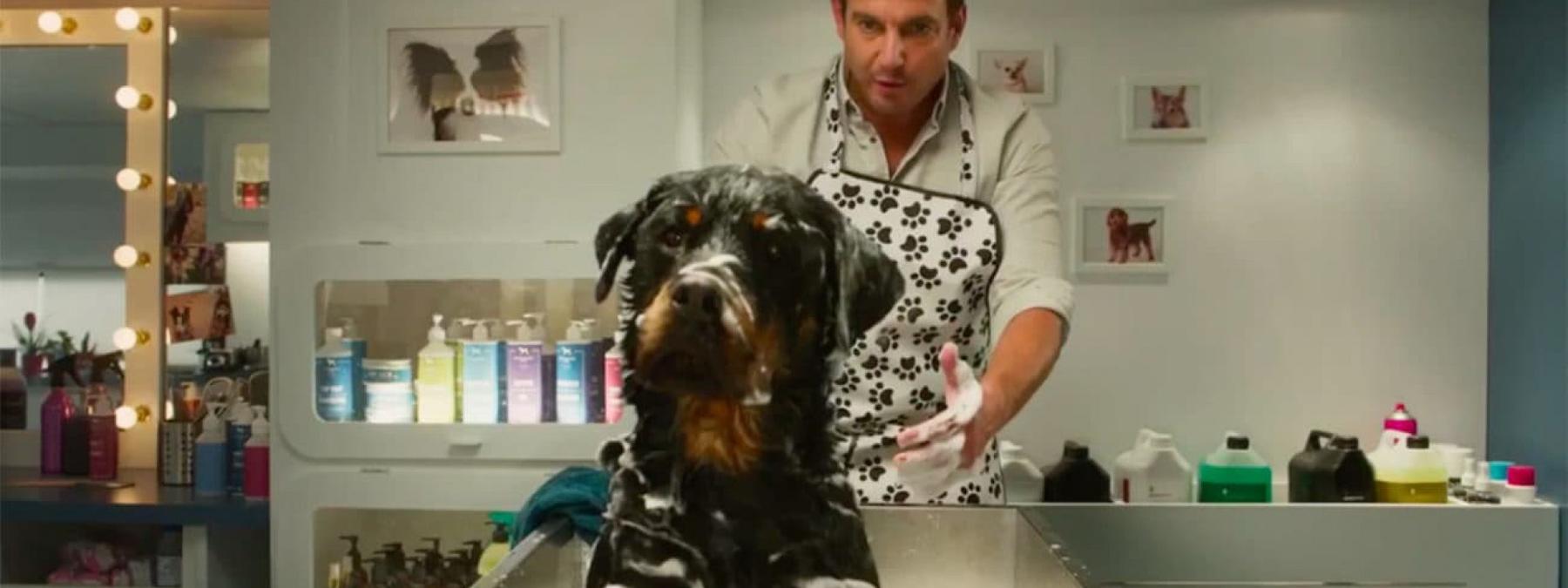 غلاف فيلم Show Dogs 2018 مترجم