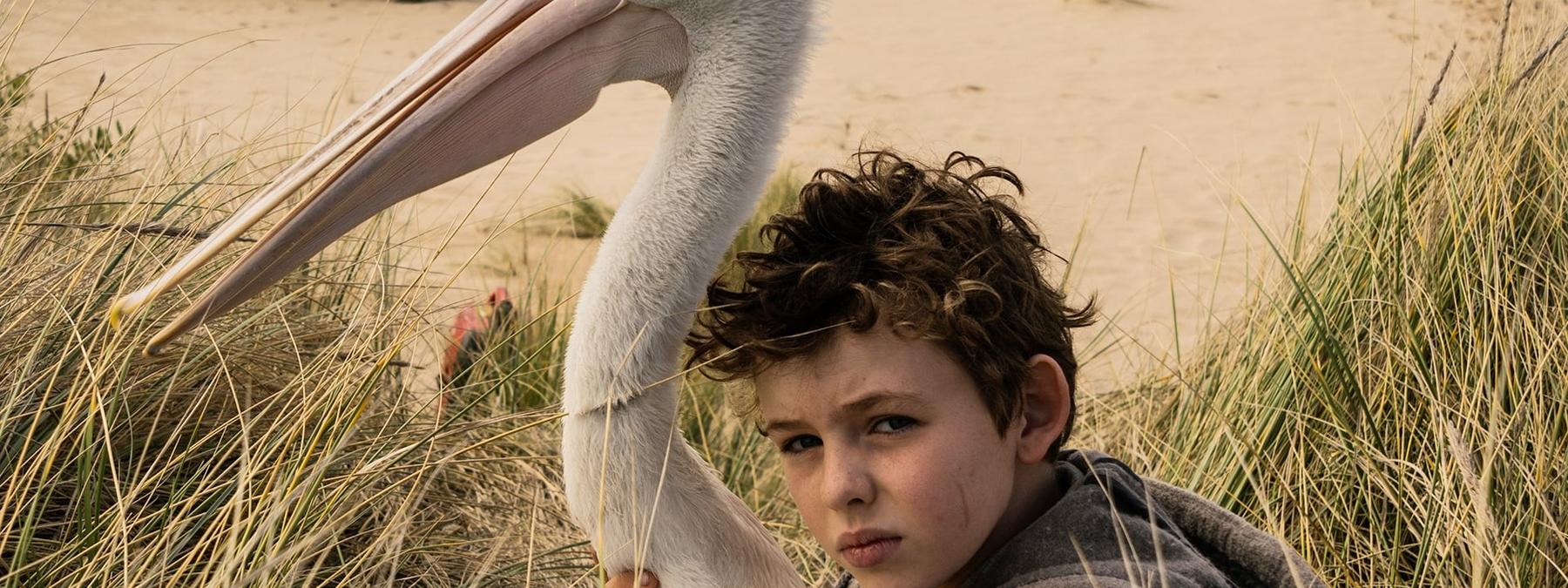 غلاف فيلم Storm Boy 2019 مترجم