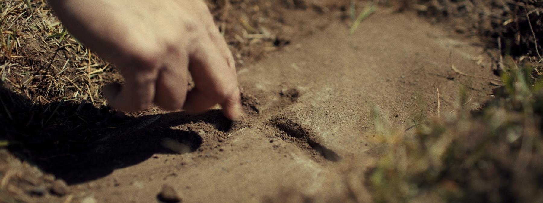 غلاف فيلم Sugarcane 2025 مترجم