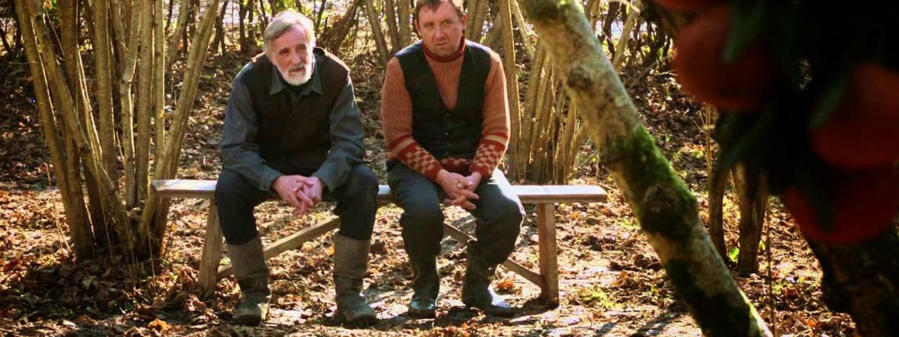 غلاف فيلم Tangerines 2013 مترجم