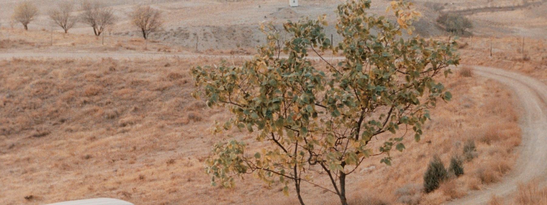 غلاف فيلم Taste of Cherry 1997 مترجم