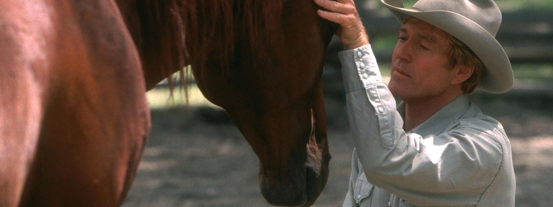 غلاف فيلم The Horse Whisperer 1998 مترجم