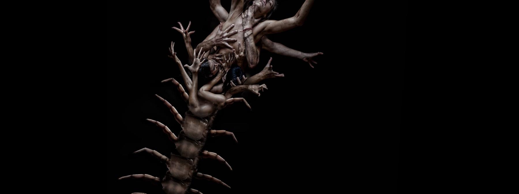 غلاف فيلم The Human Centipede 2 2011 مترجم