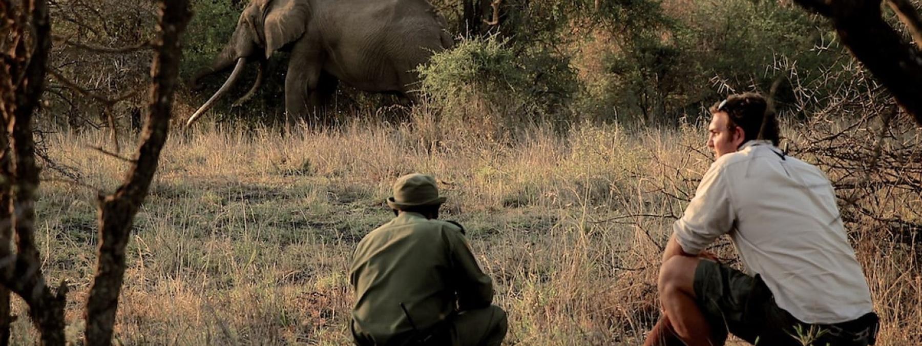 غلاف فيلم The Ivory Game 2016 مترجم