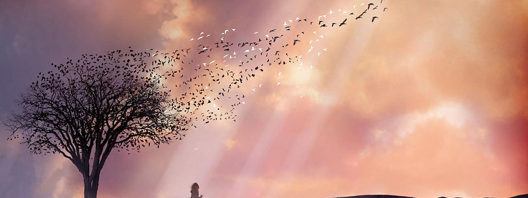 غلاف فيلم The Lovely Bones 2009 مترجم