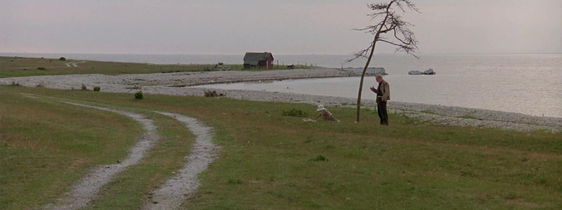 غلاف فيلم The Sacrifice 1986 مترجم