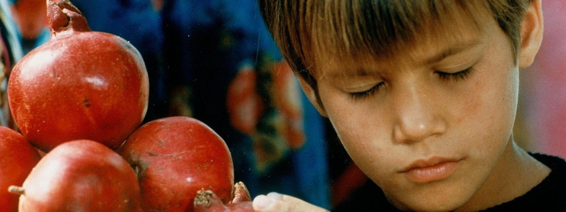 غلاف فيلم The Silence 1998 مترجم