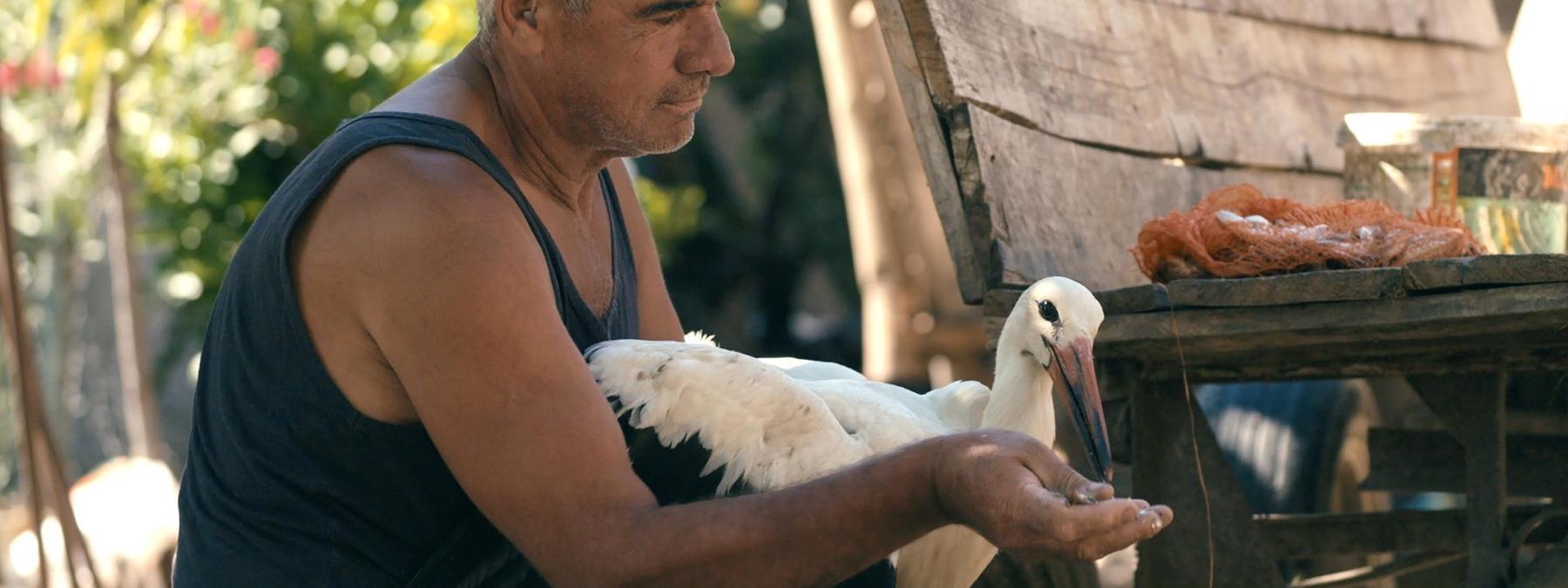 غلاف فيلم The Tale of Silyan 2025 مترجم