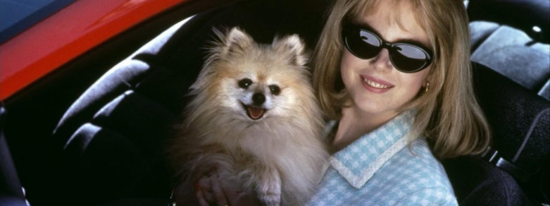 غلاف فيلم To Die For 1995 مترجم