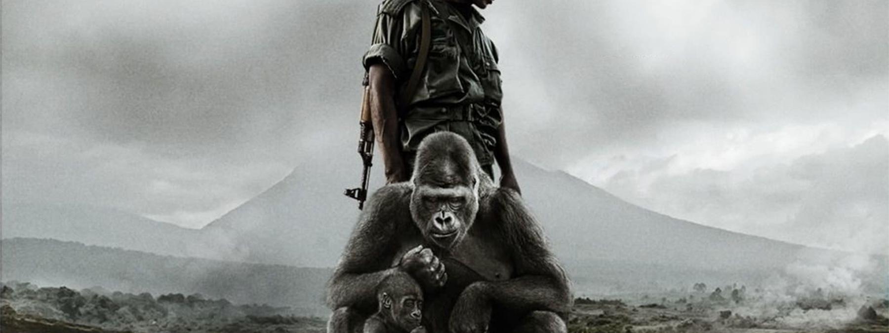 غلاف فيلم Virunga 2014 مترجم