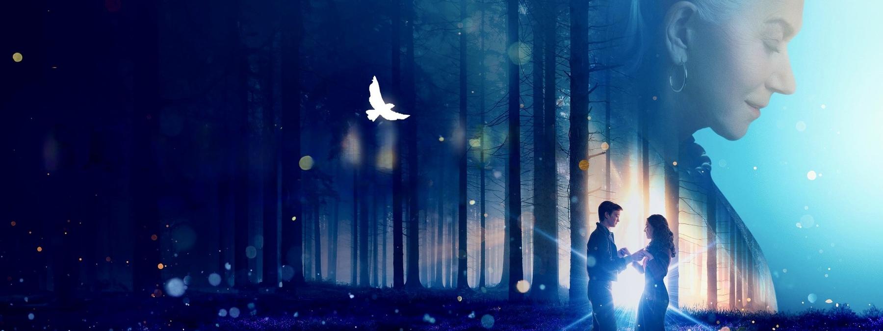 غلاف فيلم White Bird 2023 مترجم