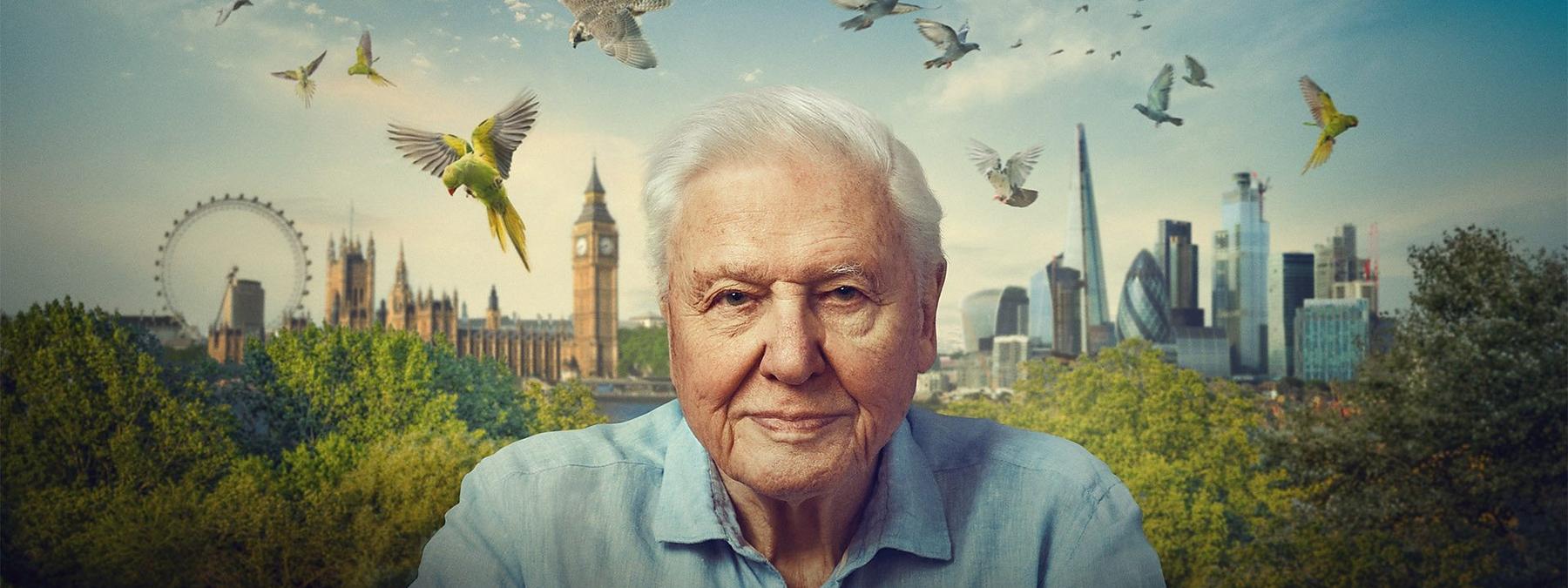 غلاف فيلم Wild London 2026 مترجم